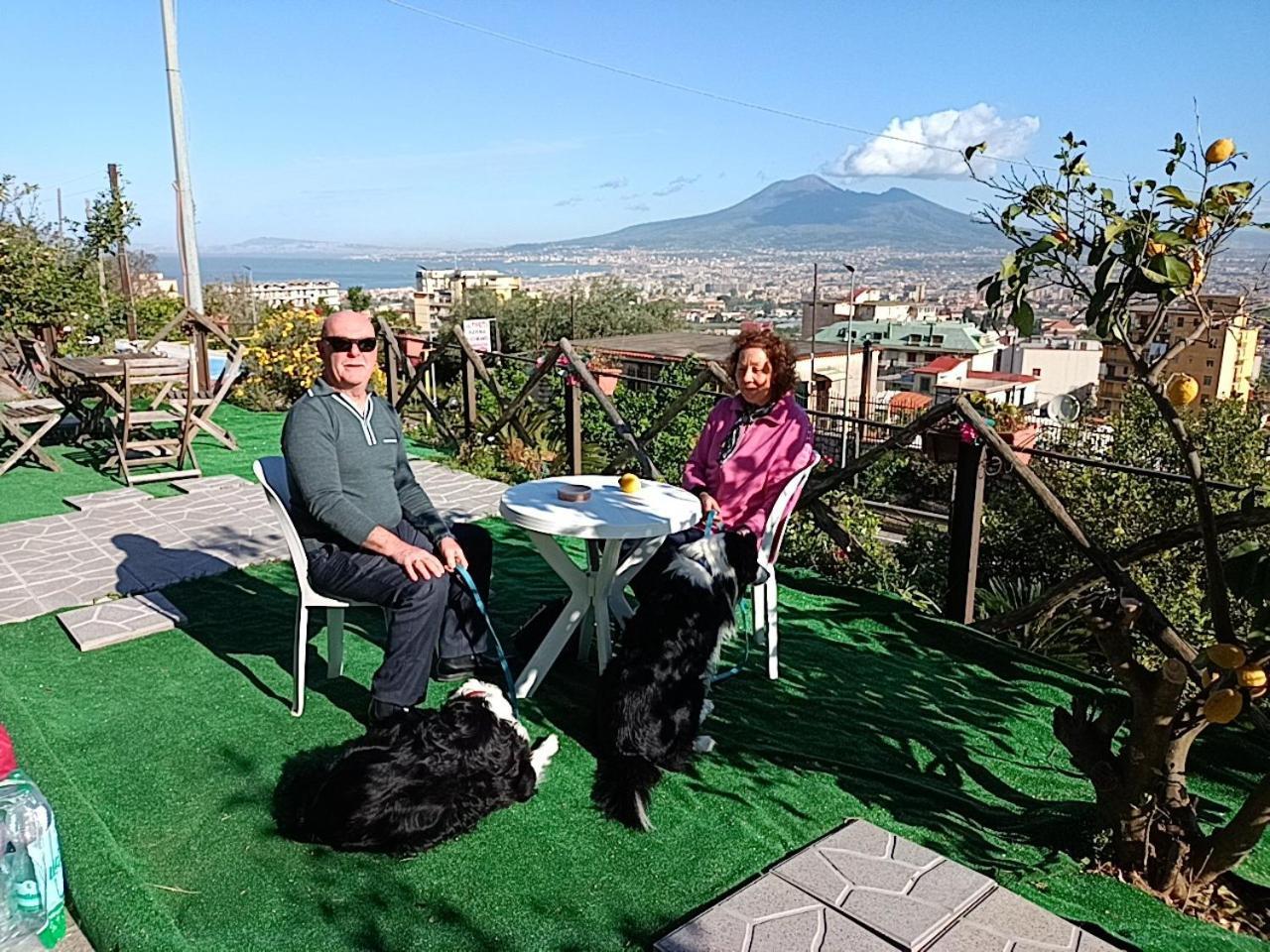 B&B Il Limoneto Gragnano Eksteriør bilde